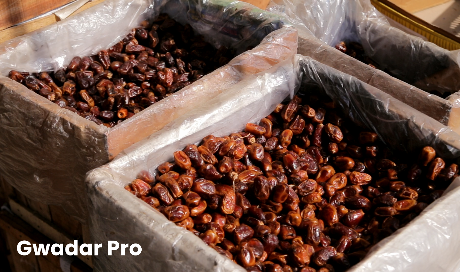 Value-addition may be a way for Pakistani dates to enter offshore market