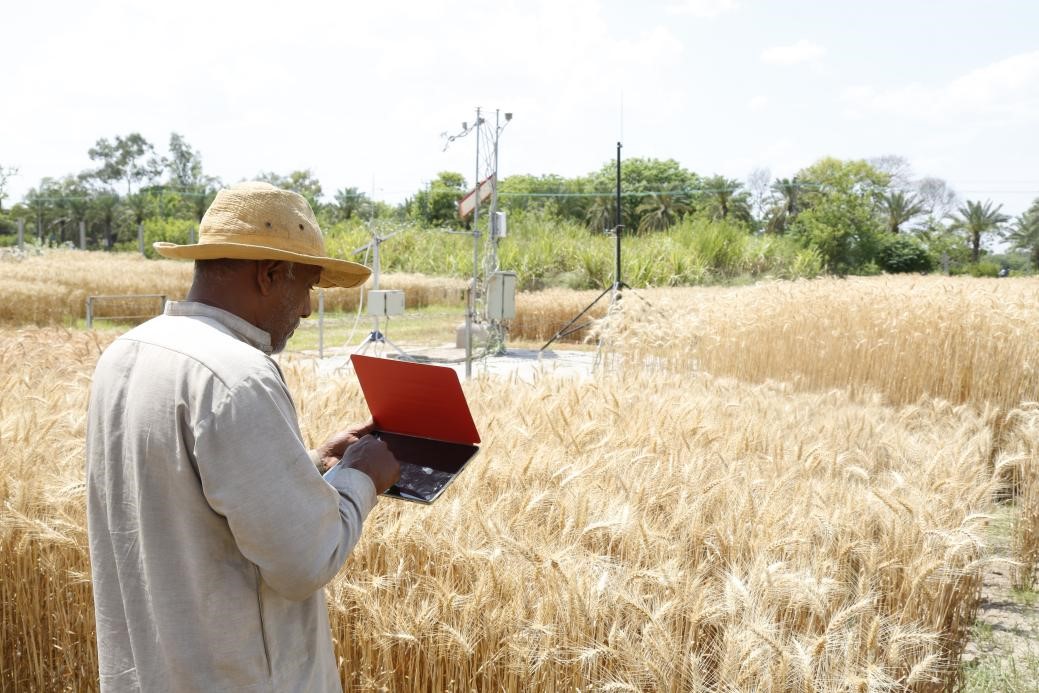 Pak-China Joint Lab for AI to intelligentize Pakistan’s agriculture