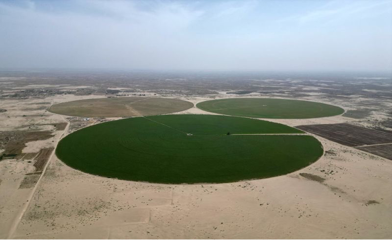 PKR 2.5 Billion pivot irrigation project converts Thal desert into cultivable land