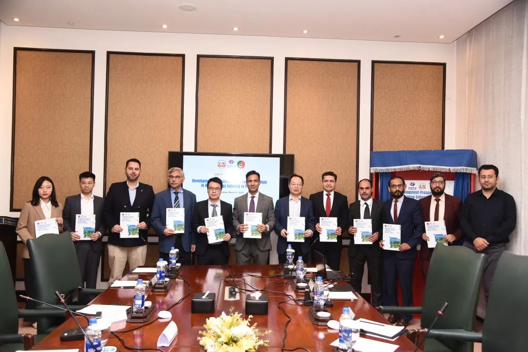 Chinese enterprises commit to expanding green energy blueprint in Pakistan