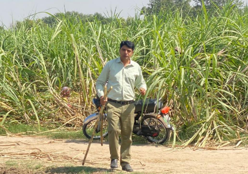 Pak-China sugarcane coop edges ahead for bright future despite challenges