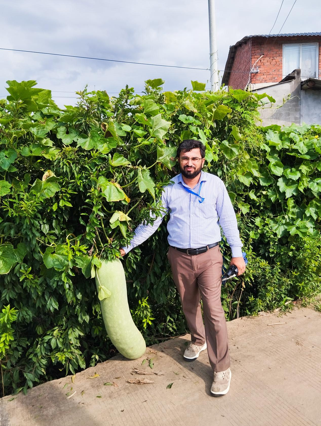 Pakistani agri-specialists return from China with cutting-edge expertise to transform farming sector
