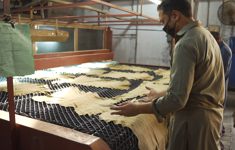 Great potential for Pakistan’s leather export