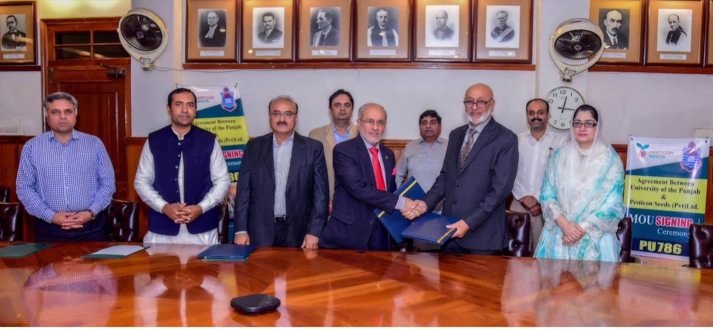 Punjab University Signs Deal to Commercialize Pak-China Developed Hybrid Rice