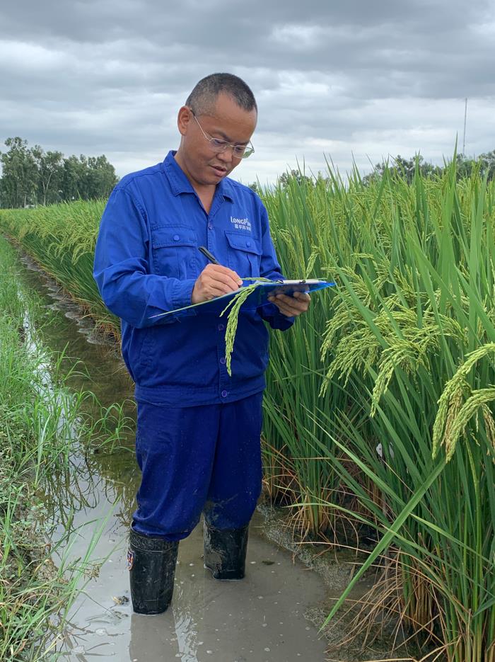 The only wish to feed more people: Chinese hybrid rice scientist in Pakistan