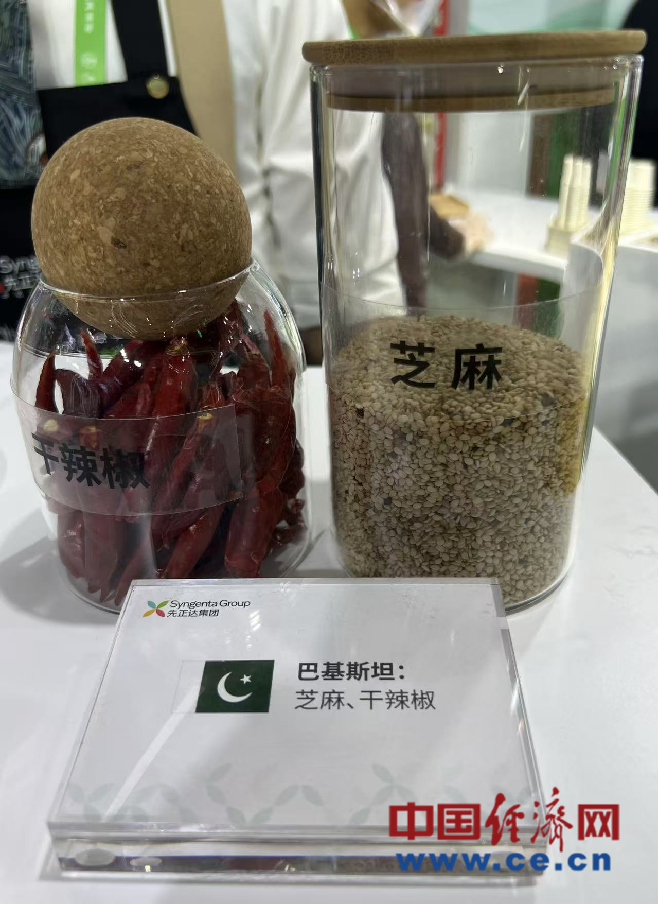 Global agritech company devotes to optimize China-Pak agriculture coop model :2024 CISCE