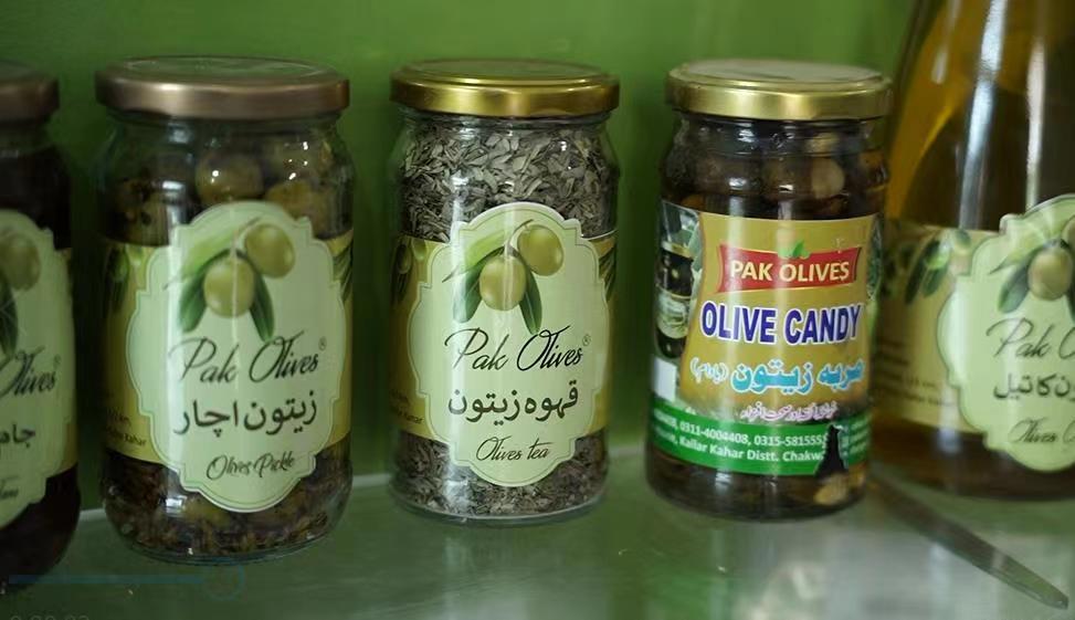 Pak-China olive cooperation possesses immense potential