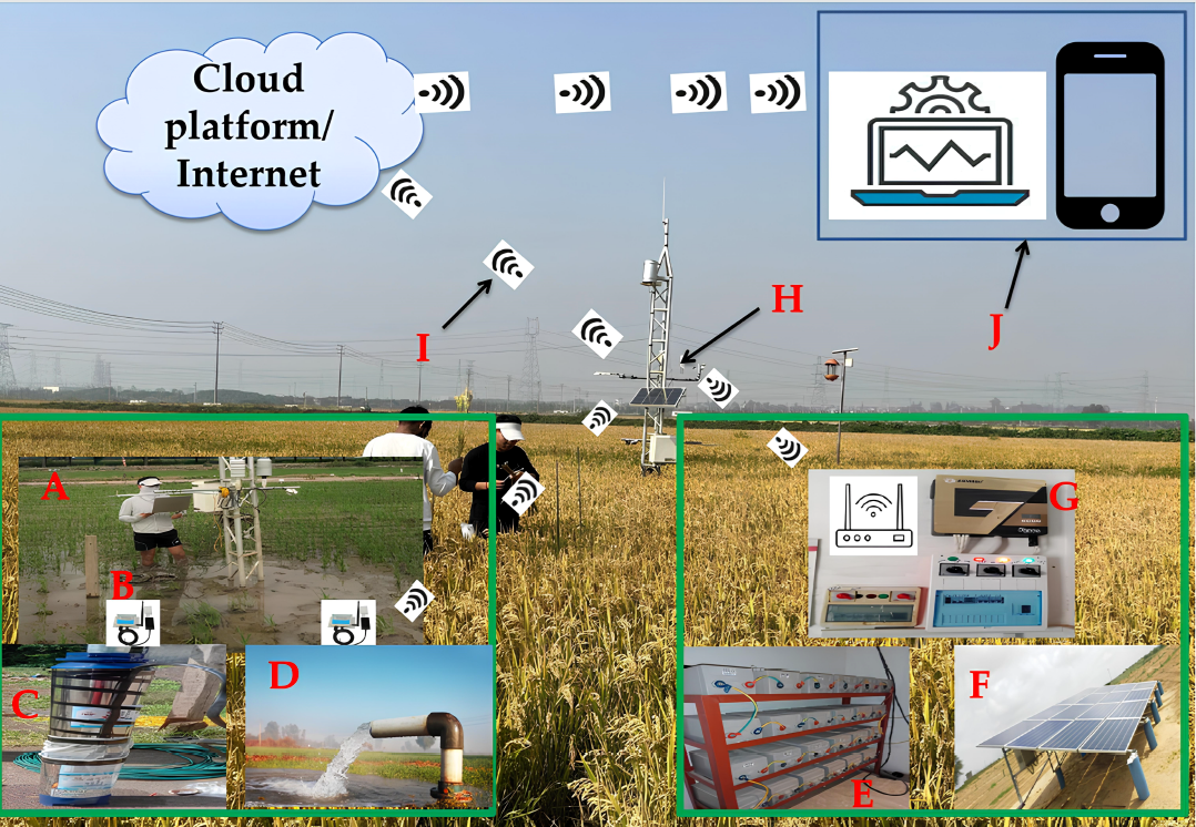 Pakistani, Chinese Researchers Develop Smart Irrigation Approach to Protect Crops from Heat