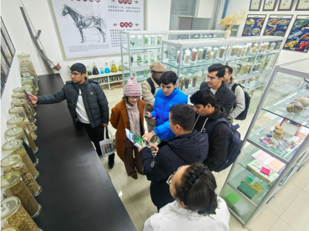 Pakistani veterinary scholars gain practical expertise through advanced training in China