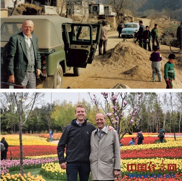 China world's No.1 in flower & plant production scale: survey