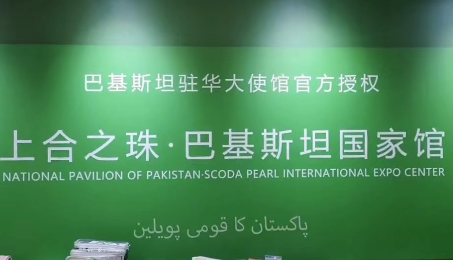 Pakistani industrial ecology means endless opportunities:2023 SCO Expo