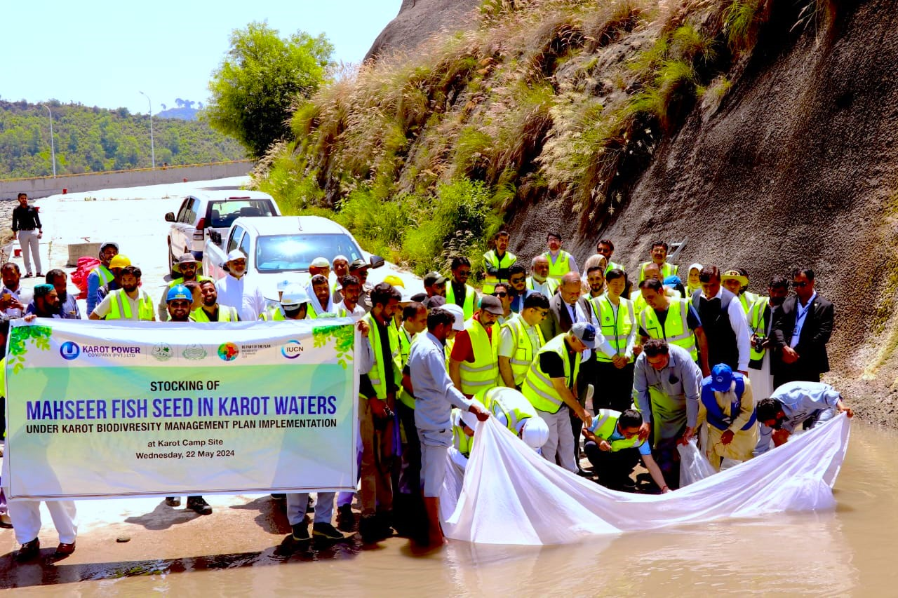 Chinese company releases endangered fish on Biological Diversity Day