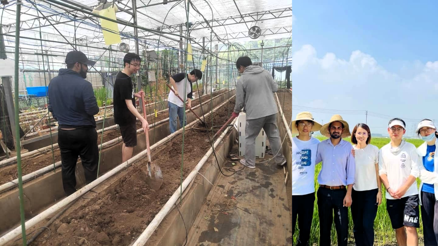Pakistani, Chinese Researchers Develop Smart Irrigation Approach to Protect Crops from Heat