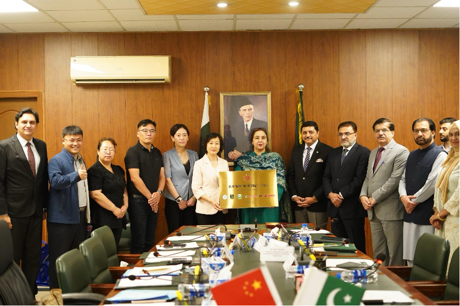 Chinese delegation discusses digital skills training project with TEVTA