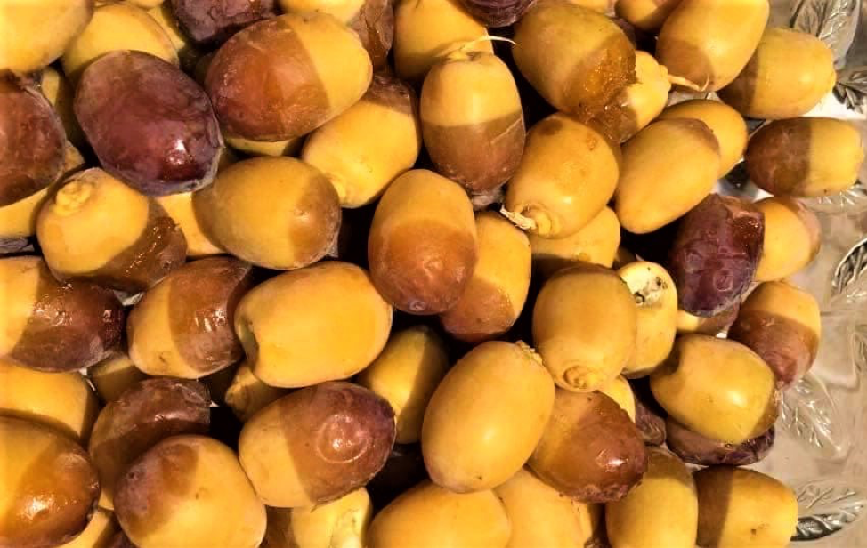 Improved connectivity under CPEC to help increase Pakistan’s date cultivation