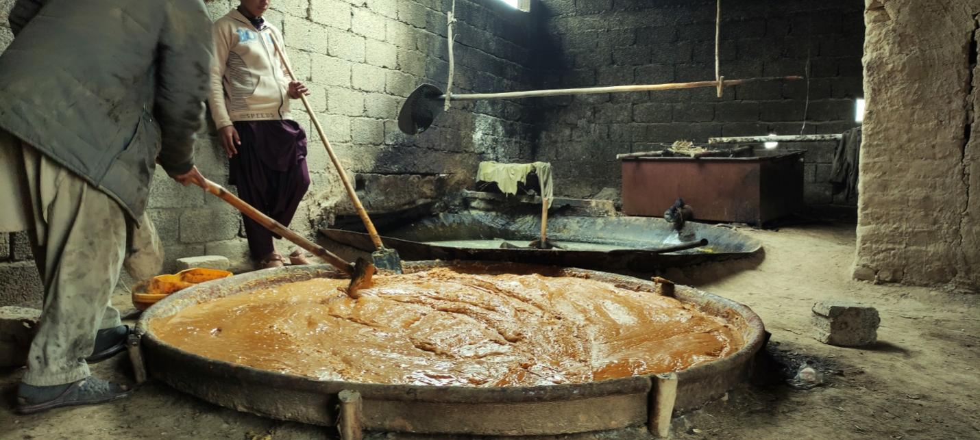 Chinese technology can make KP’s jaggery exportable