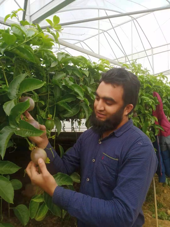 Pakistani researcher sees microbial technologies boosting Pakistan’s agriculture  Gwadar Pro