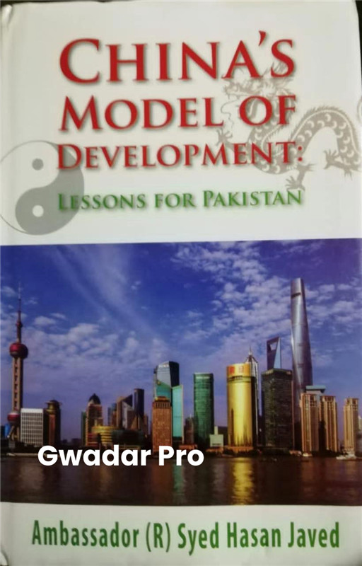 China’s model of development, lessons for developing countries: Syed Hasan Javed