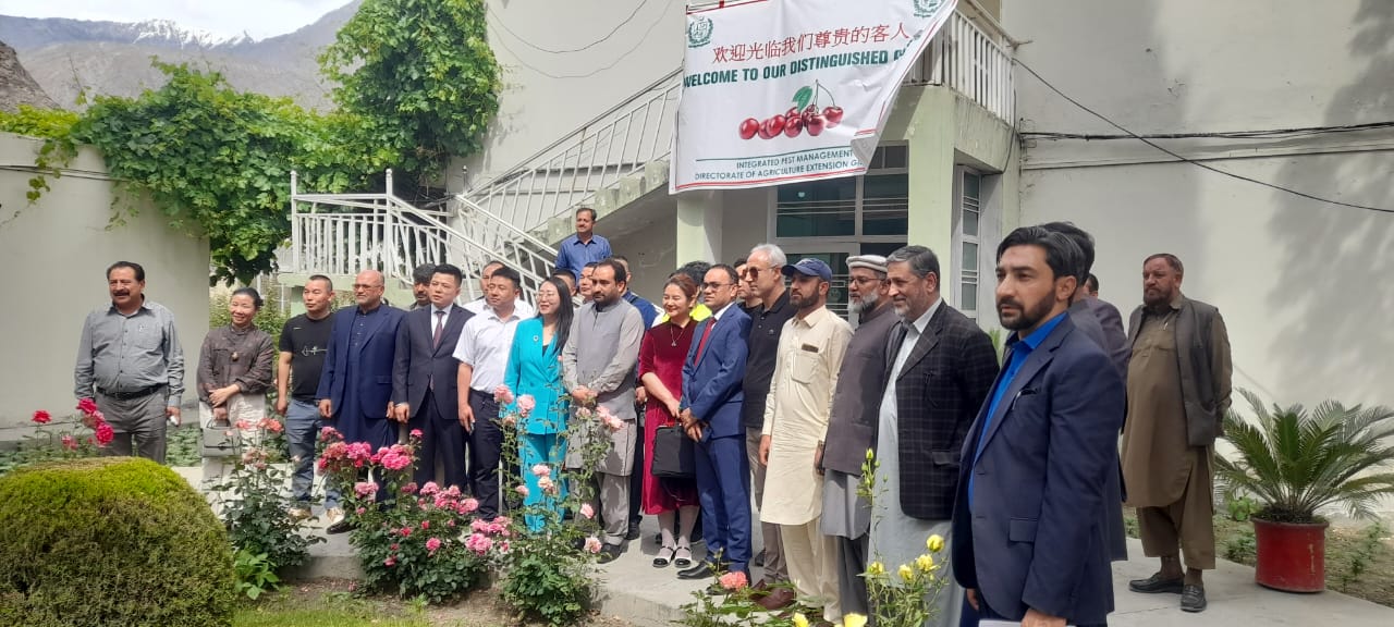 Chinese delegation in GB to explore cherry export prospects