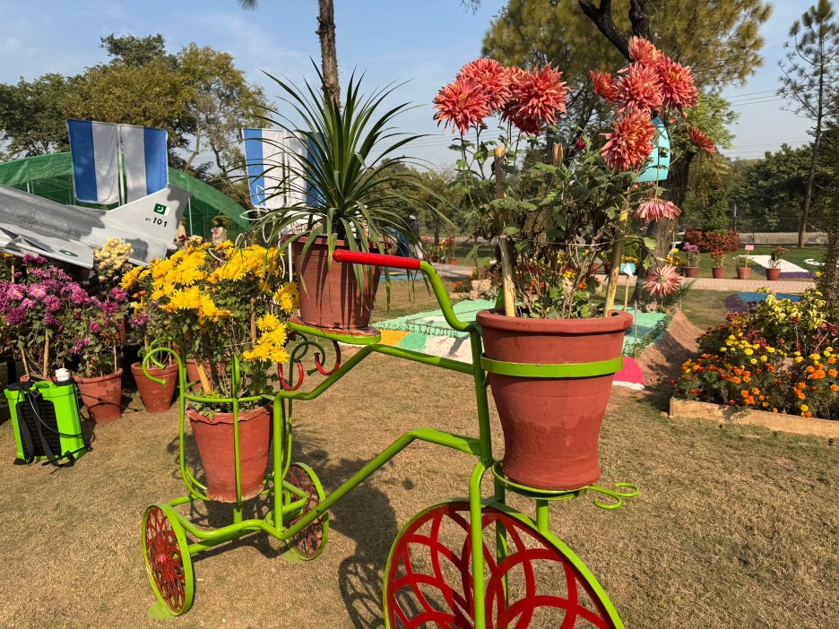 Islamabad chrysanthemum show highlights autumn blooms rooted in ancient Chinese tradition