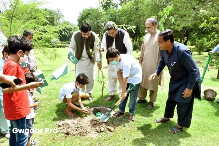 Pak to celebrate Independence Day with tree plantation campaigns