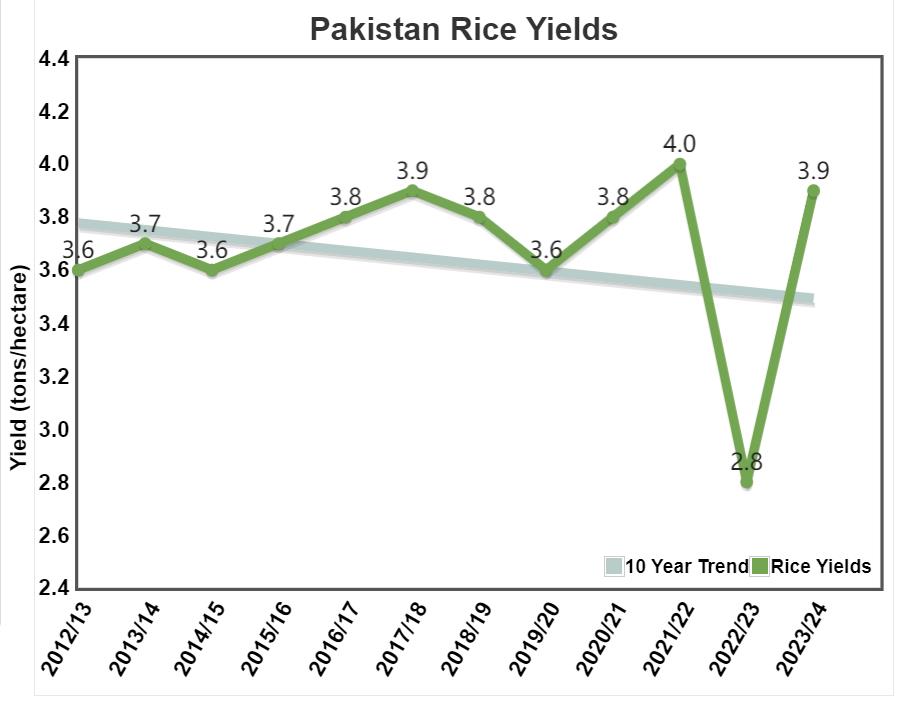 All-time high rice exports in prospect in Pakistan