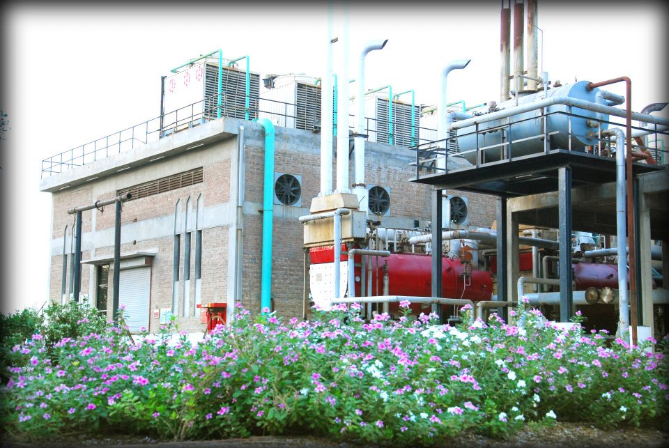 Pakistan can produce 1100 MMCFD Biogas with 21 MT bio fertilizer every year: Experts