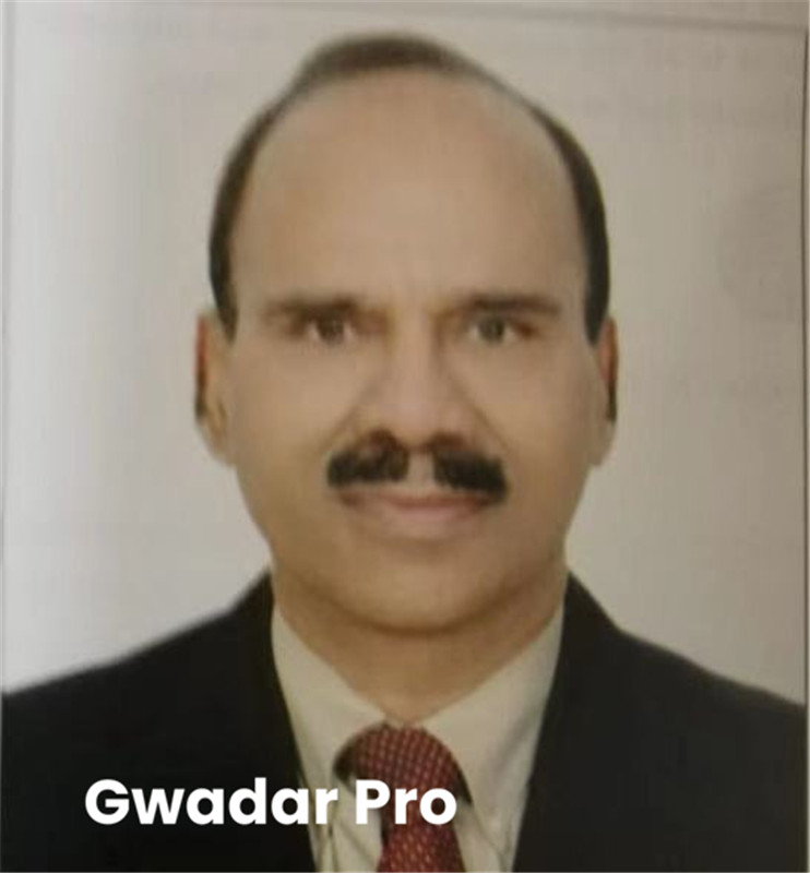 China’s model of development, lessons for developing countries: Syed Hasan Javed