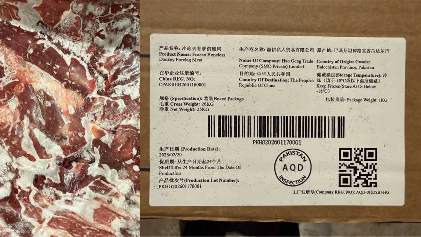 Pakistan’s First Donkey Meat Shipment from Gwadar Free Zone Successfully entered Chinese Market