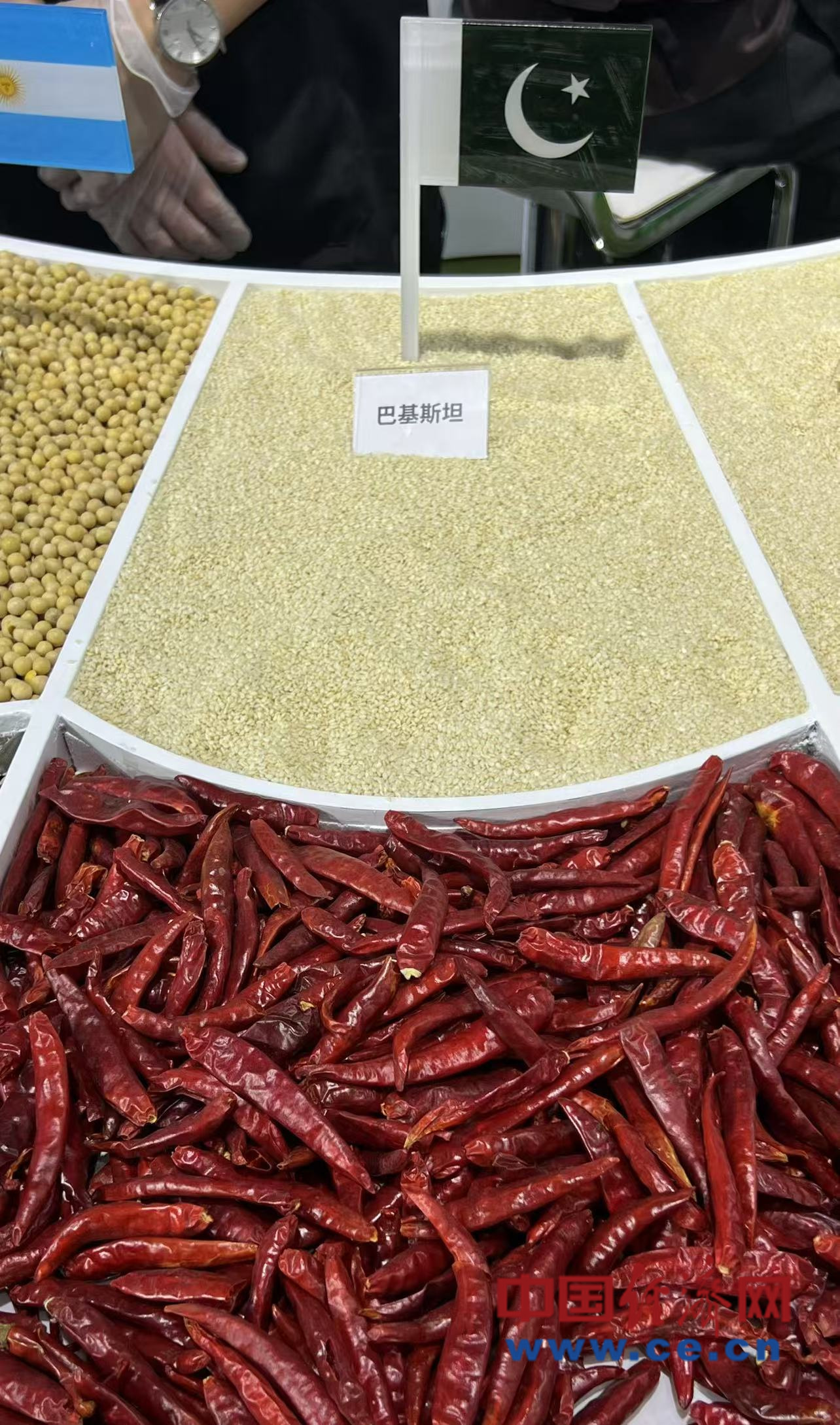 Global agritech company devotes to optimize China-Pak agriculture coop model :2024 CISCE
