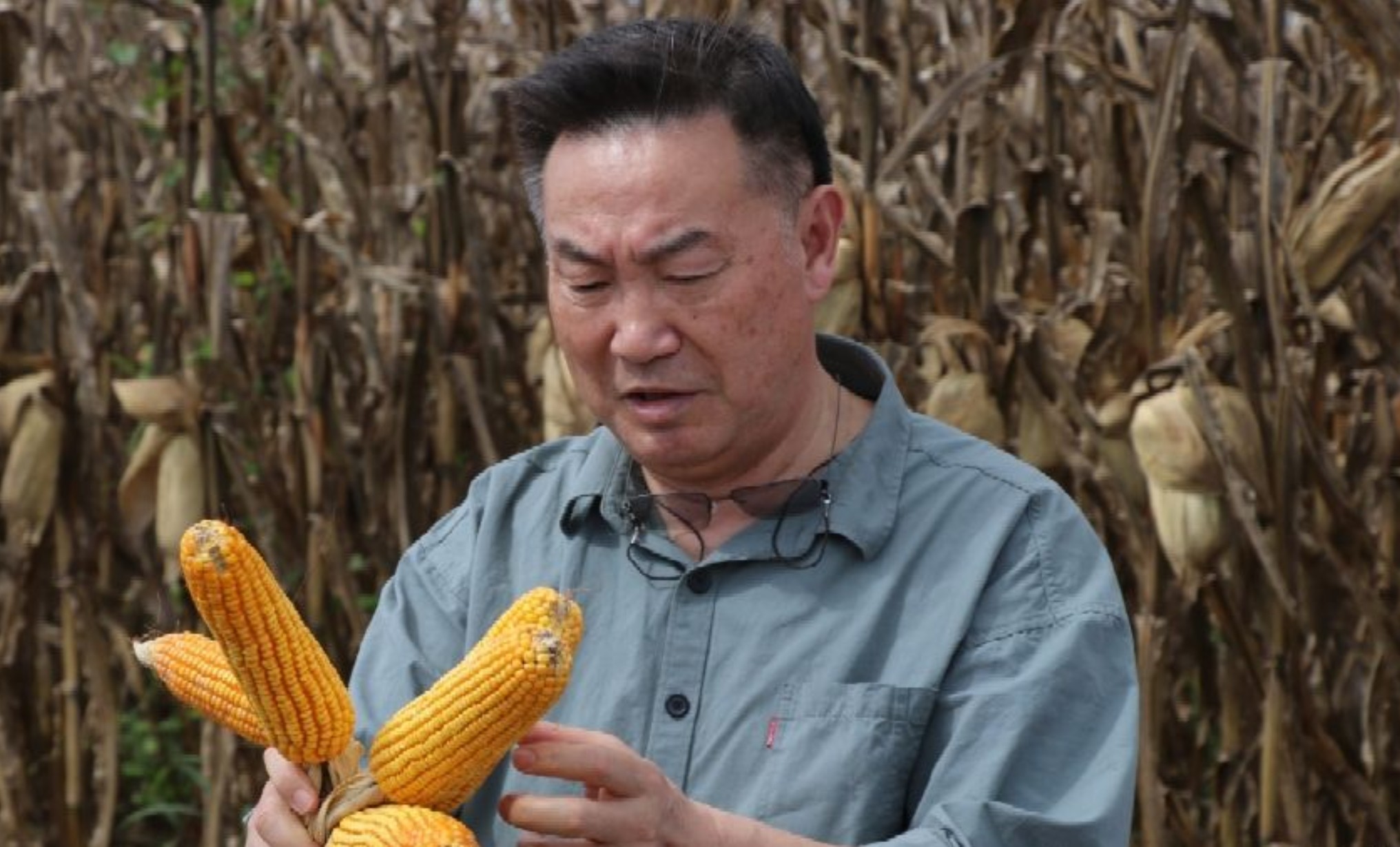 MoU signed to facilitate China-Pak coop in maize breeding & industrialization