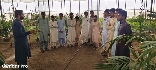Pak-China Technical and Vocational Institute students visit Gwadar Port