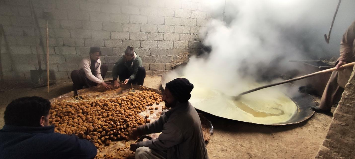 Chinese technology can make KP’s jaggery exportable