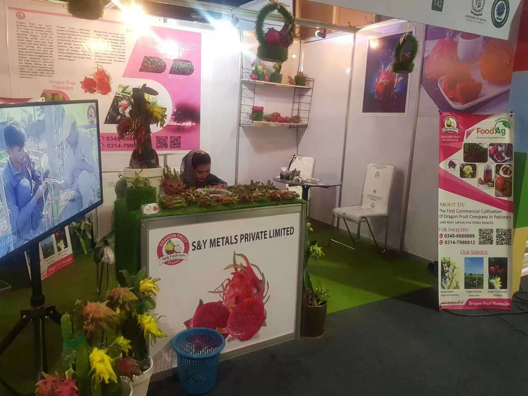 Chinese enterprise promotes Pakistani dragon fruit export through FoodAg