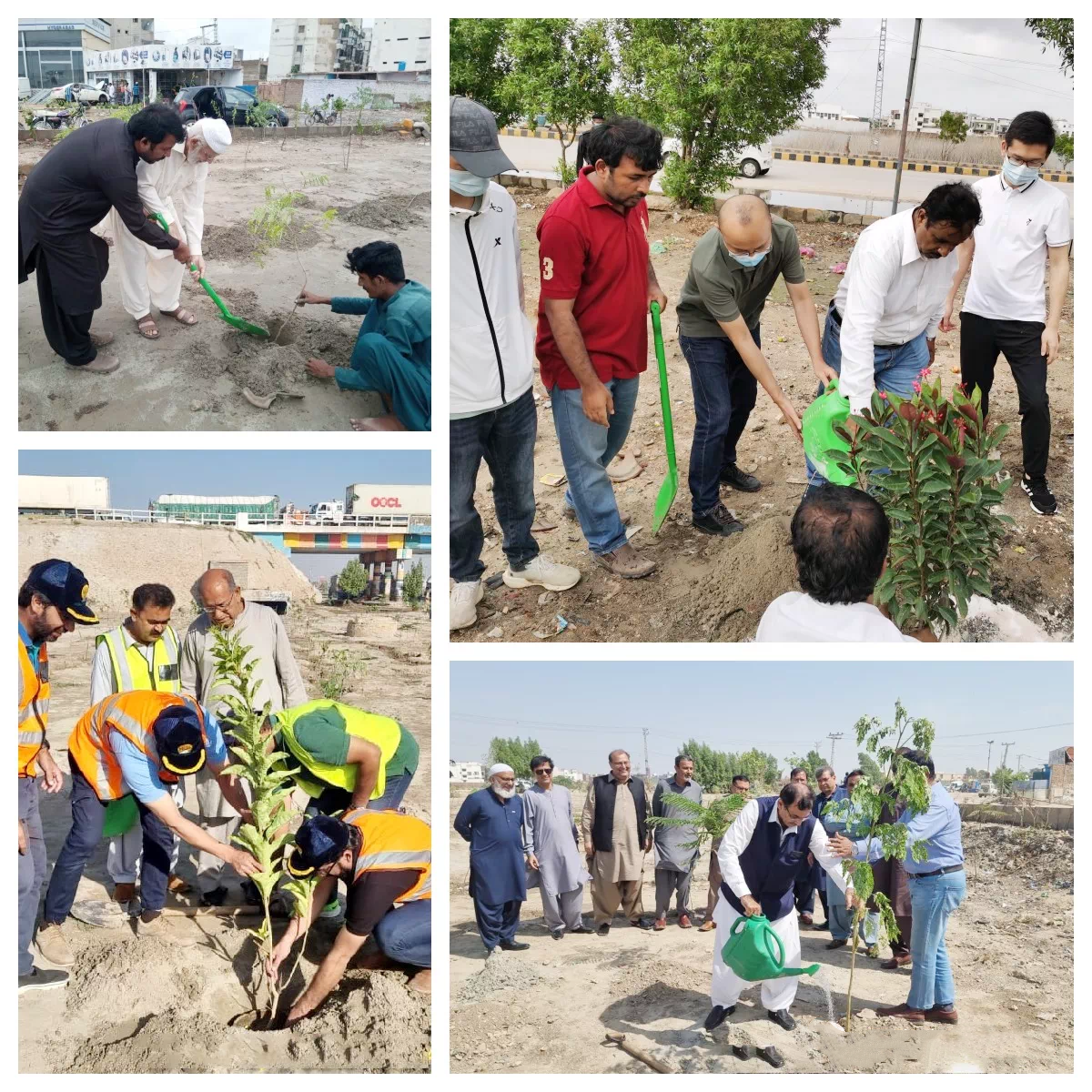 China finalized tree planting project around National Highway-5 (N-5)
