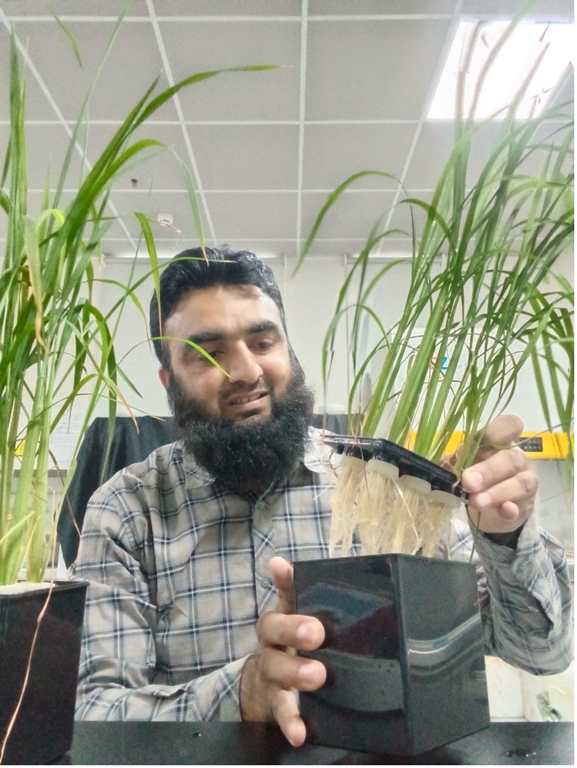 Pakistani researcher sees microbial technologies boosting Pakistan's agriculture
