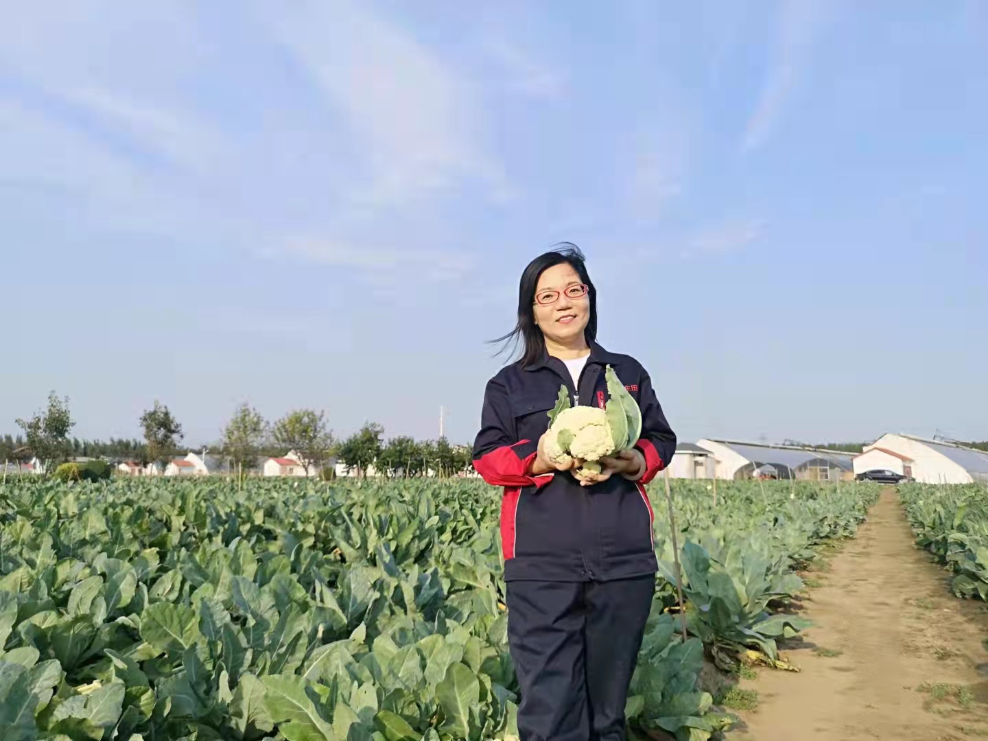 Cauliflower opens up new chapter for China-Pak agricultural coop