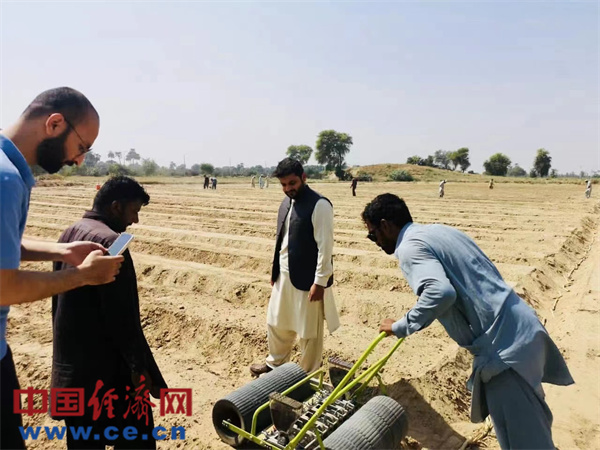 Punjab Governor supports Sino intercropping tech to develop local soybean production