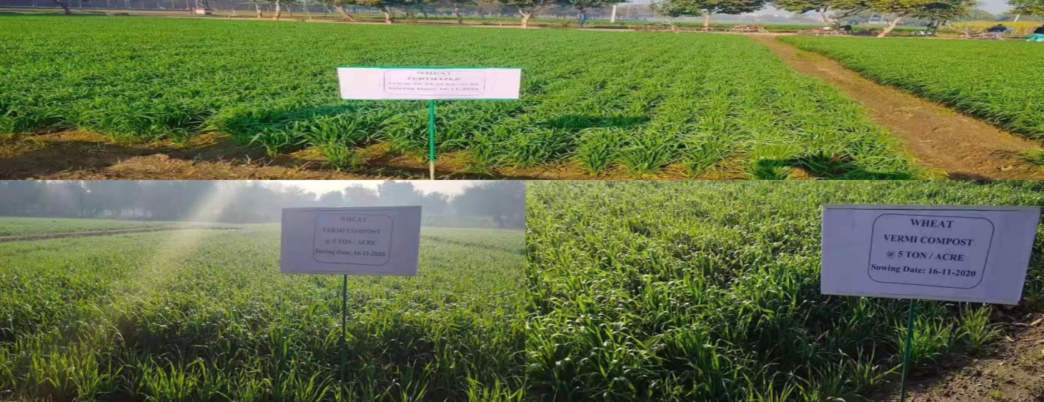 Pak-China cooperation in Biohealth Agriculture to flourish