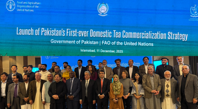 Pakistan Looks to Chinese Investors as It Launches Ambitious Tea Commercialisation Strategy